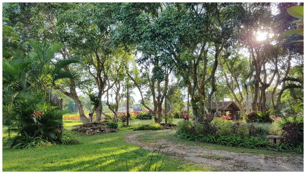 Baan Sakuna Hotel Csiangkhong Kültér fotó